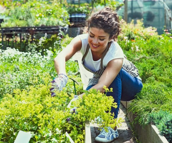 Gardening 1